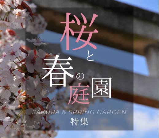桜と春の庭園特集